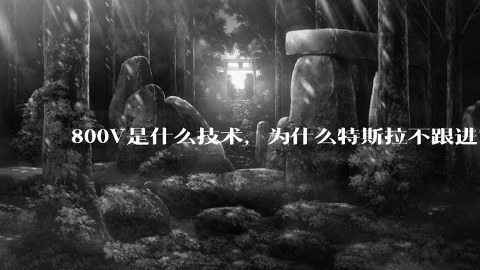 800V是什么技术，为什么特斯拉不跟进？