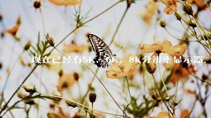 现在已经有5K、6K、8K分辨率显示器，那么8K之后是什么？