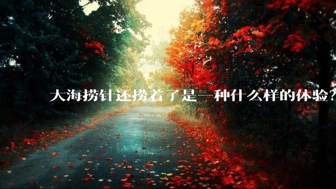 大海捞针还捞着了是一种什么样的体验？