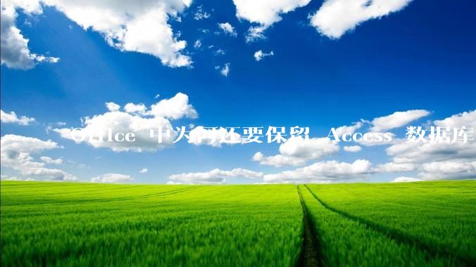Office 中为何还要保留 Access 数据库?
