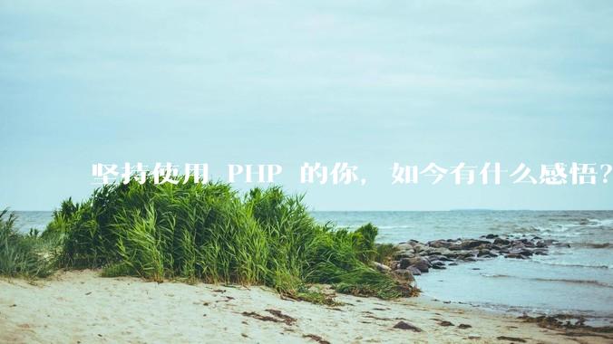 坚持使用 PHP 的你，如今有什么感悟？